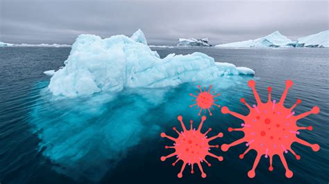 the year earth changed gomovie|Ancient viral genomes plucked from glaciers reveal how .